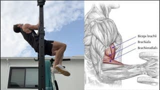 Brachialis Chin-Up (Close-Grip Overhand Lean Away Chin-Up)