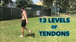 Levels of Tendons (no subtitles)