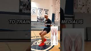 Maybe The Most Applicable Sled Alternative For Basketball Players: Kneeducation Part 20