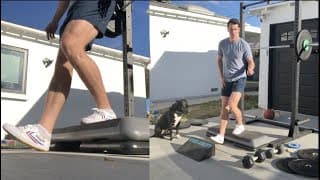 DENSE STRENGTH Reverse Step Ups