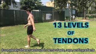 The 13 Levels of Tendons