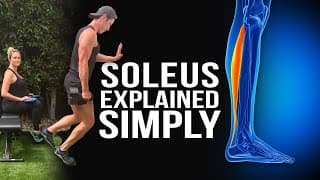 The Soleus Explained Simply