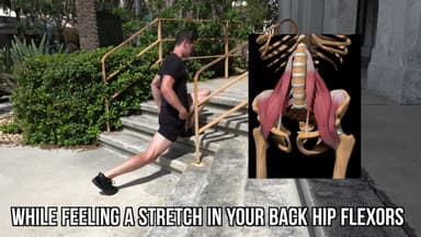 BAZ ATG Split Squat